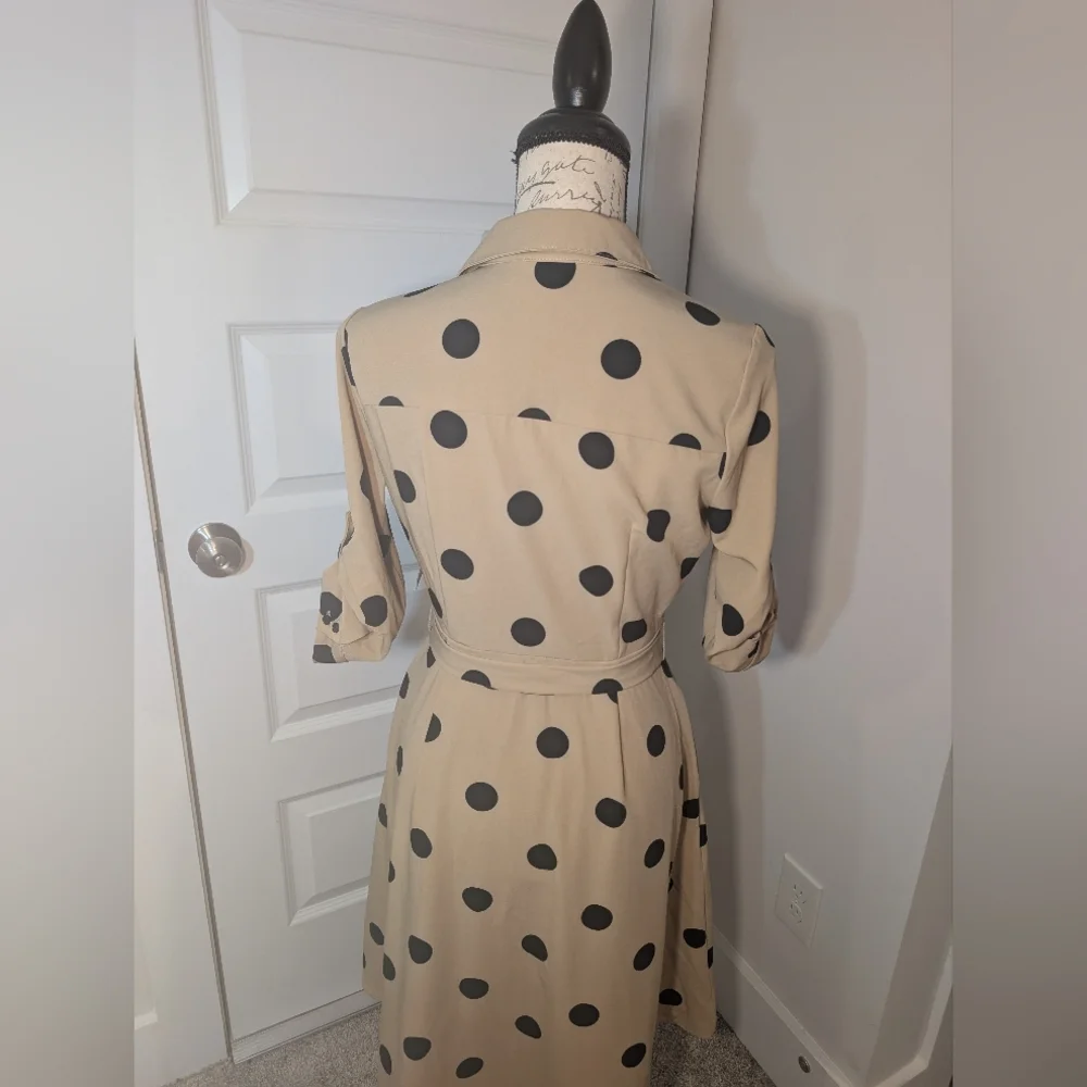 New York & Company Beige Dress with Black Polka Dots - Picture 2 of 9